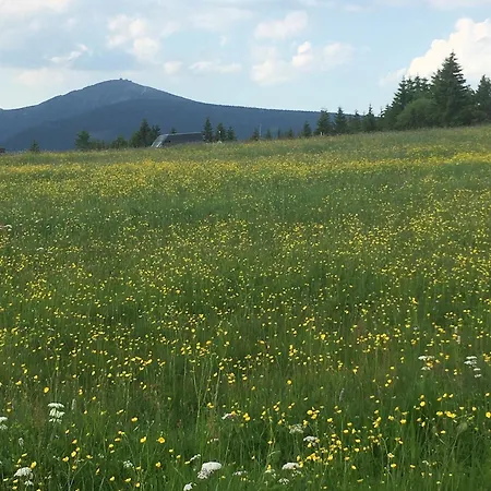 Cihlarka 301 Apartment *