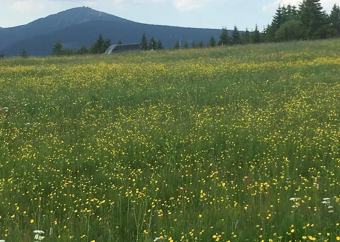 Cihlarka 301 Appartement *